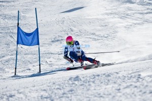 球迷文化再升级，激情与文明的交响曲