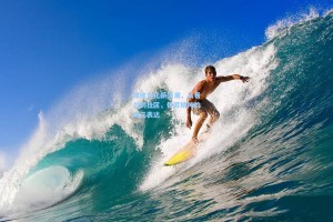 球迷文化新浪潮，从看台到社区，体育精神的多元表达