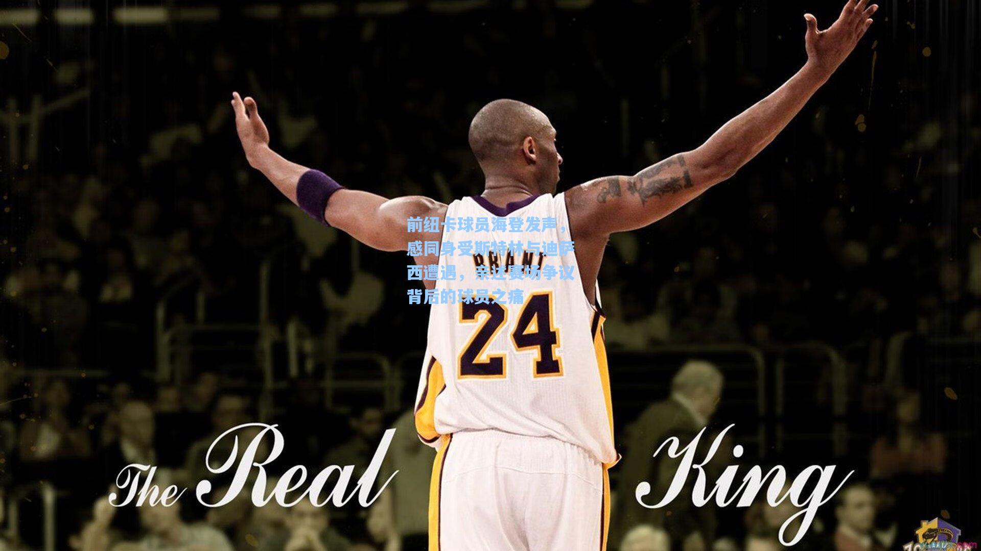 前纽卡球员海登发声，感同身受斯特林与迪萨西遭遇，亲述赛场争议背后的球员之痛