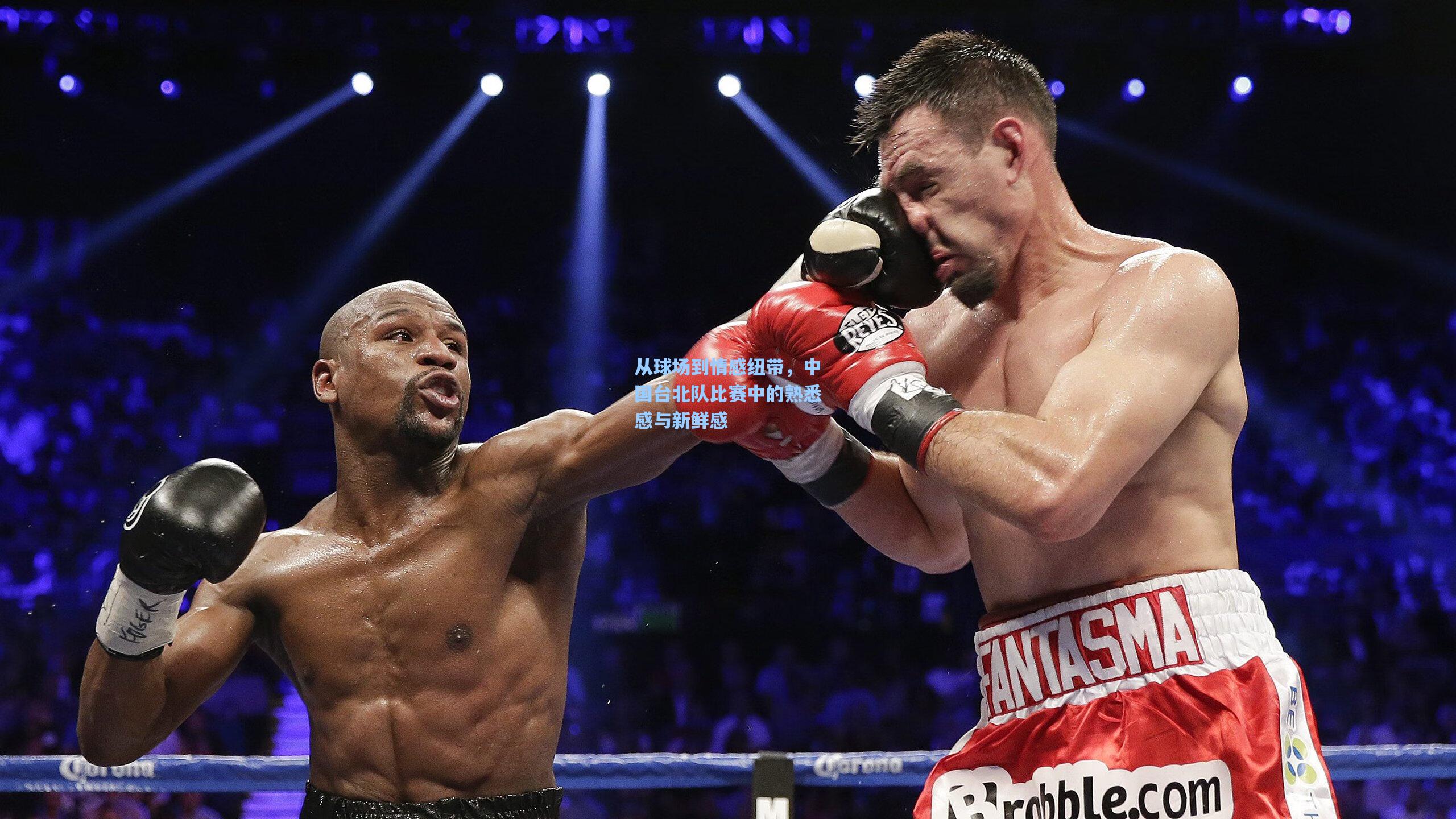 从球场到情感纽带,中国台北队比赛中的熟悉感与新鲜感